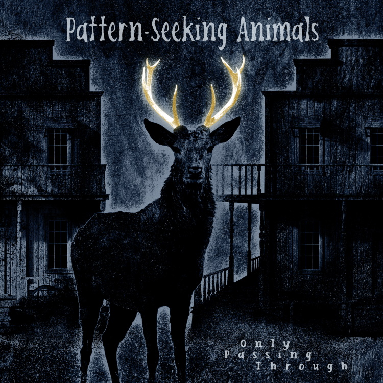 Pattern-Seekin_Animals